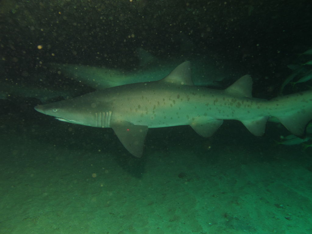 d52c9280-49d9-4acd-aa2a-ed846d2c7476