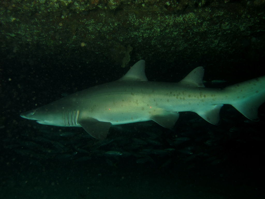 82db6819-686b-47de-926b-597e44b62986