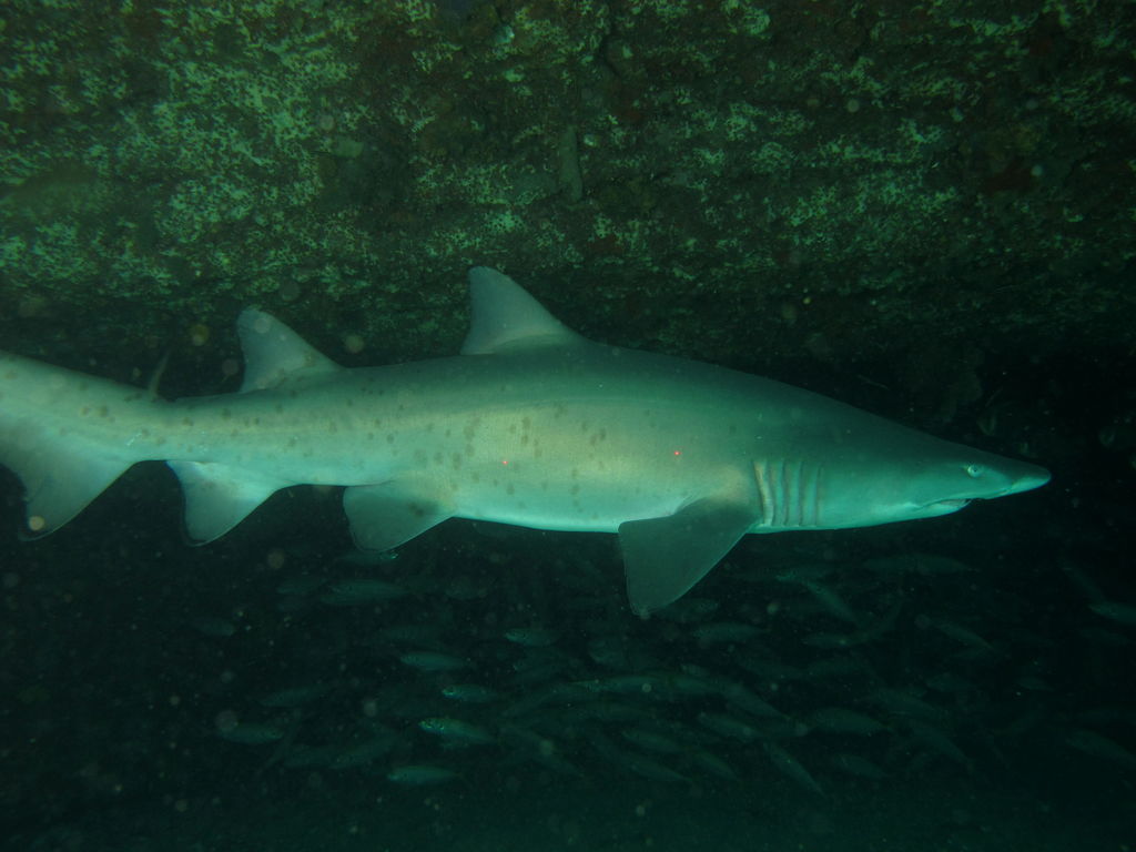 27a75b9d-bdcb-47cd-b62c-d685bc0f831b