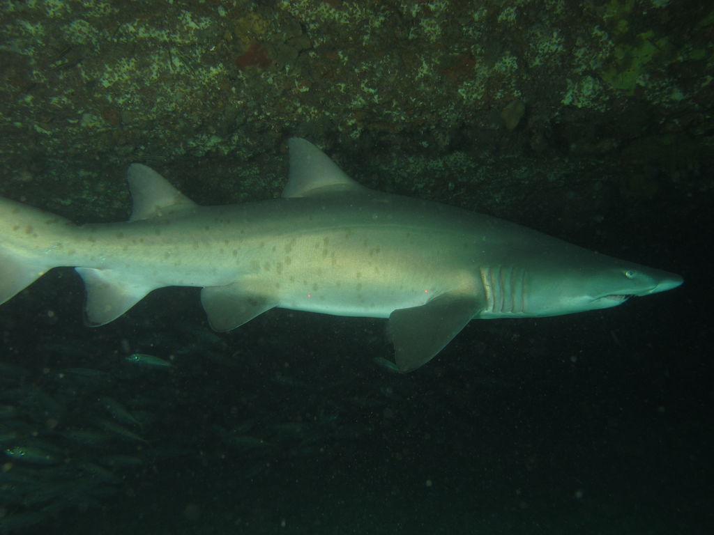 27a75b9d-bdcb-47cd-b62c-d685bc0f831b