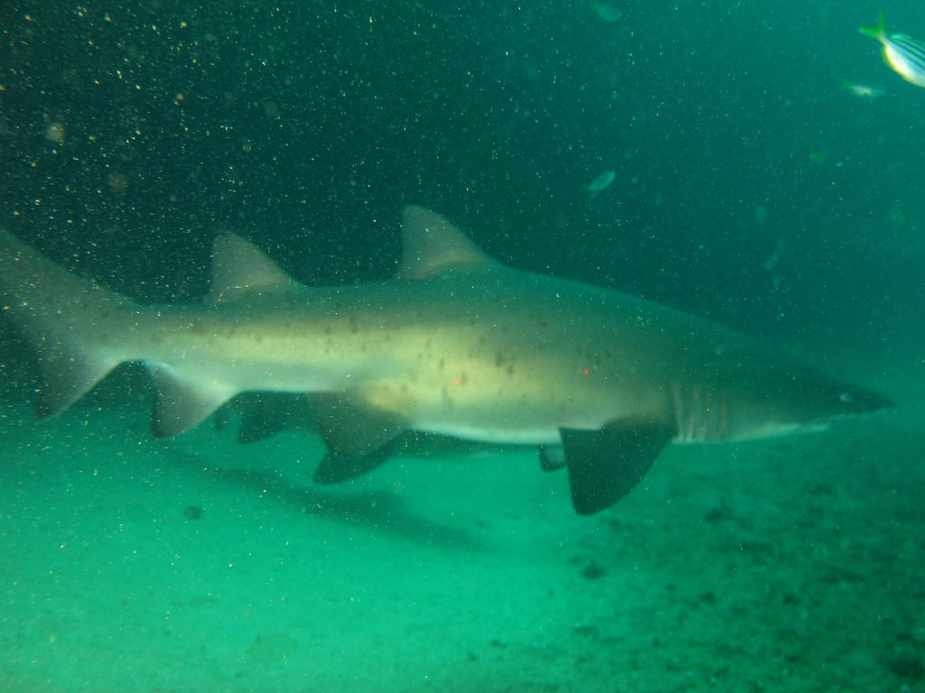 17bcdd5b-f734-46ed-802b-2498ab665a5d