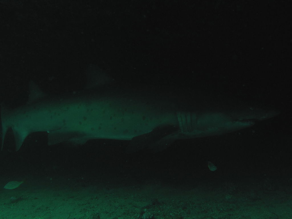 fa44ca25-3e22-49d1-9553-d5f69ad7f091