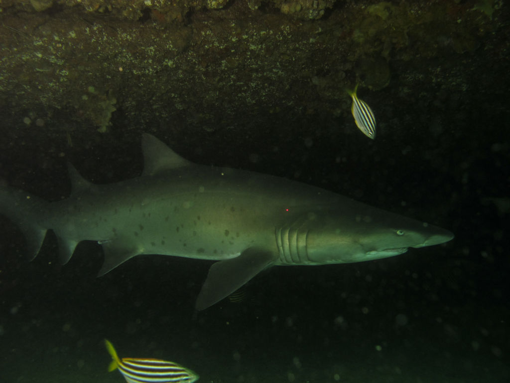 fa44ca25-3e22-49d1-9553-d5f69ad7f091