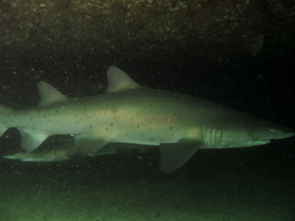 fa44ca25-3e22-49d1-9553-d5f69ad7f091