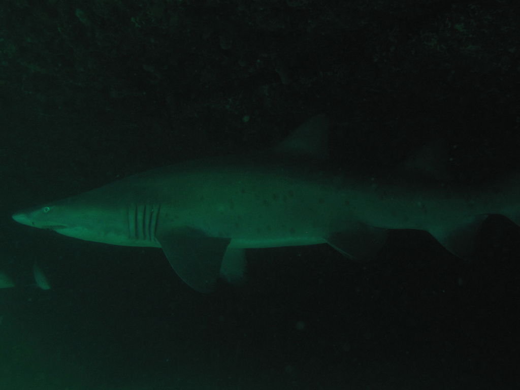 021dac45-4e76-4400-95e5-21c433263699