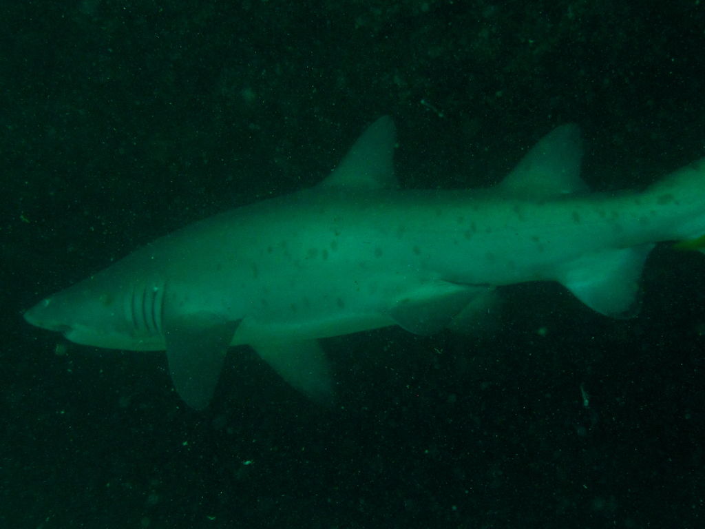 021dac45-4e76-4400-95e5-21c433263699