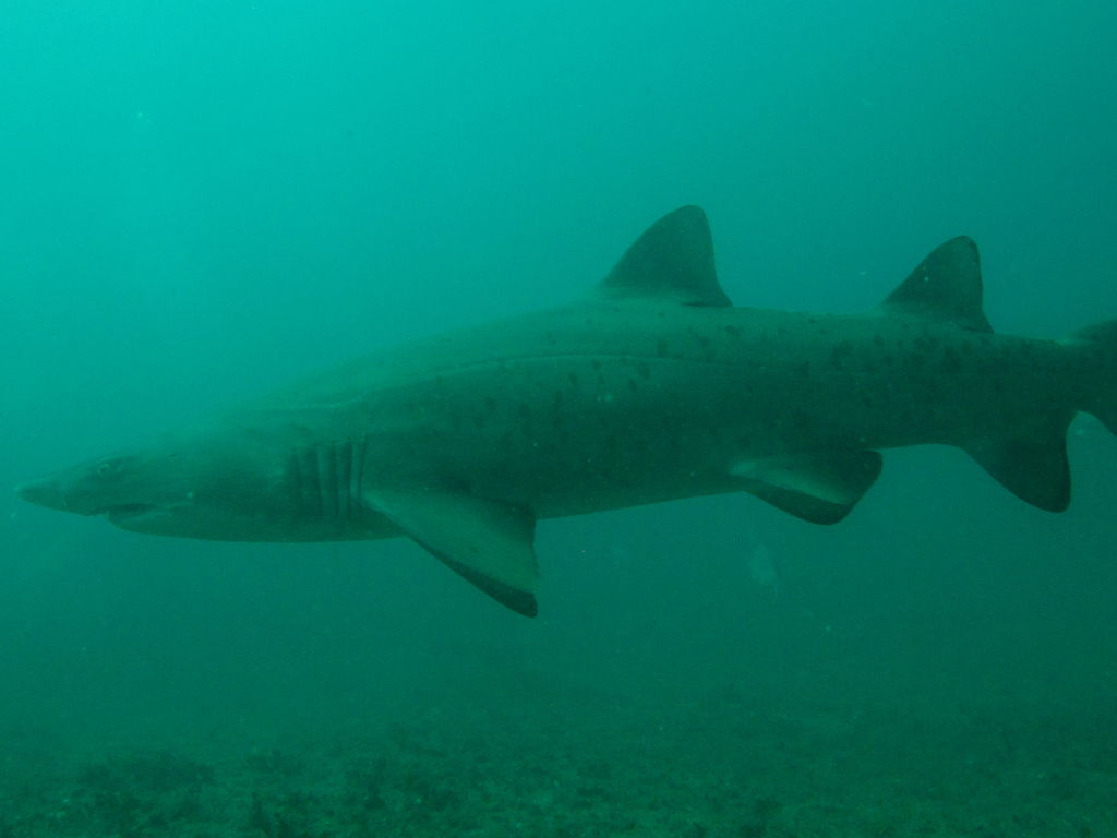 d52c9280-49d9-4acd-aa2a-ed846d2c7476