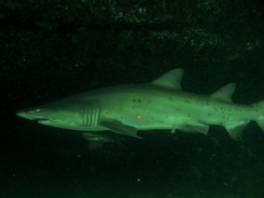 e5ae93f6-fb1a-4709-873c-376aa1edd592