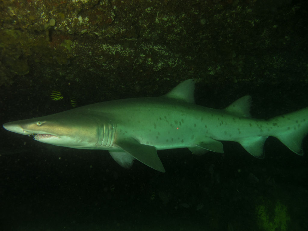 021dac45-4e76-4400-95e5-21c433263699