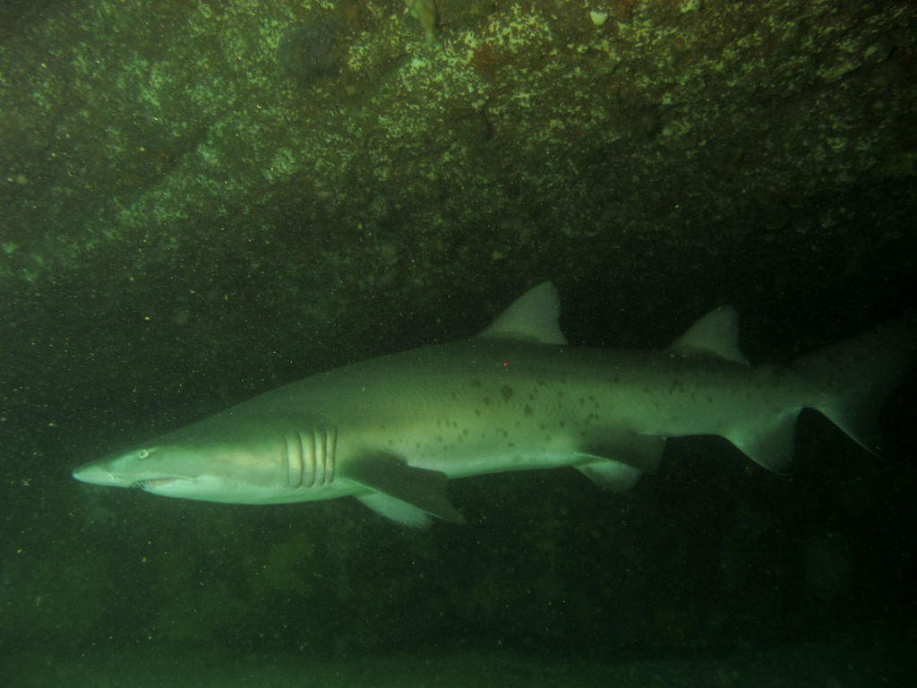 3c1f6ee4-ab2d-4b70-9682-b6b8f7217217