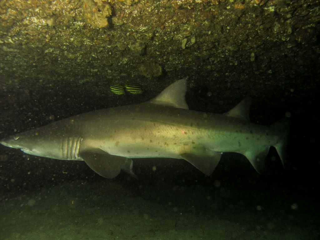 f1fc0a43-48c7-4118-9e28-92b380e39ae4