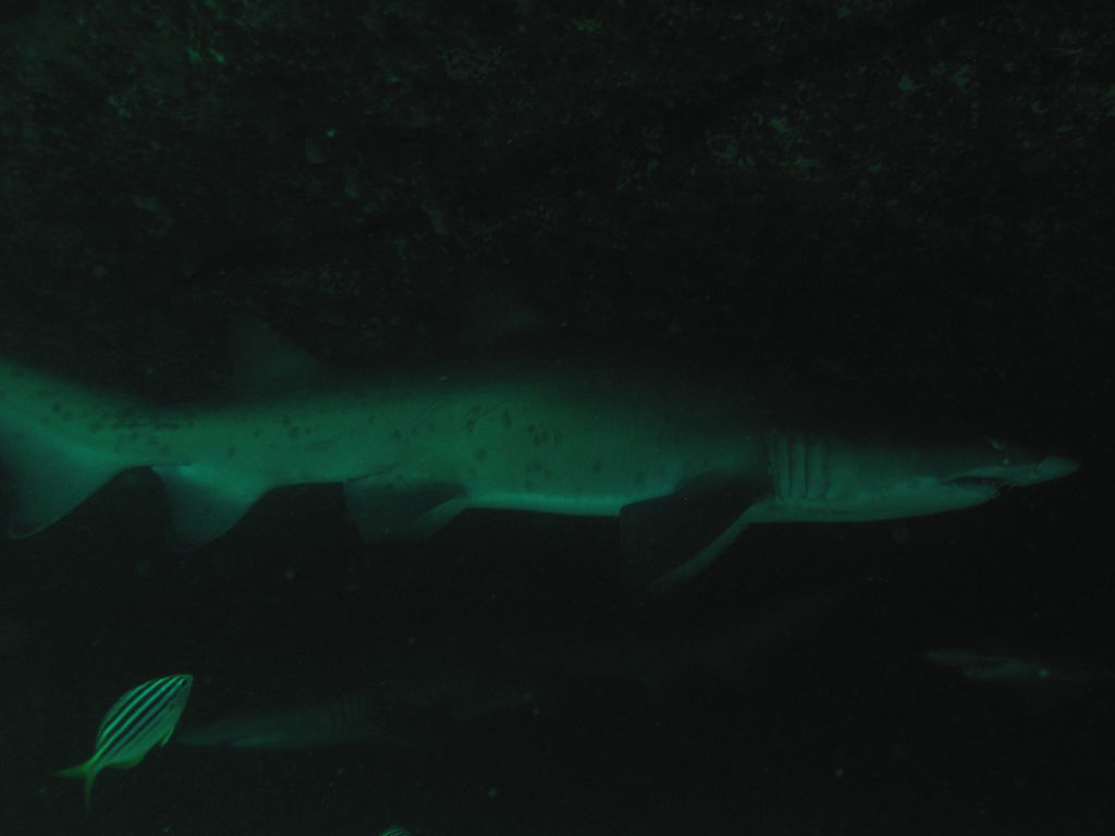 a1847107-913b-4b41-841d-55b439910202