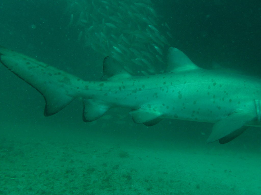 382f994f-a4ca-47ff-8436-51441d23d83f