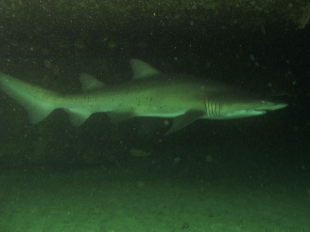 61eb053d-30cd-479e-9424-d000ef23dd8a