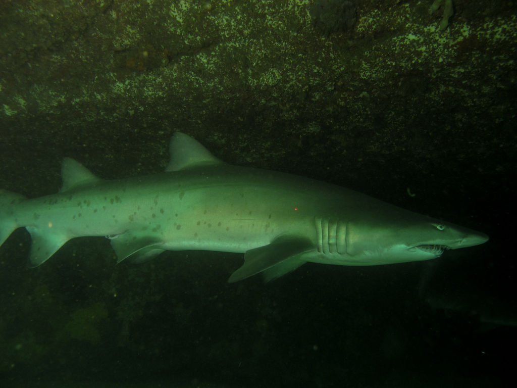 026832fa-2120-4b0f-a498-829b9e29e686