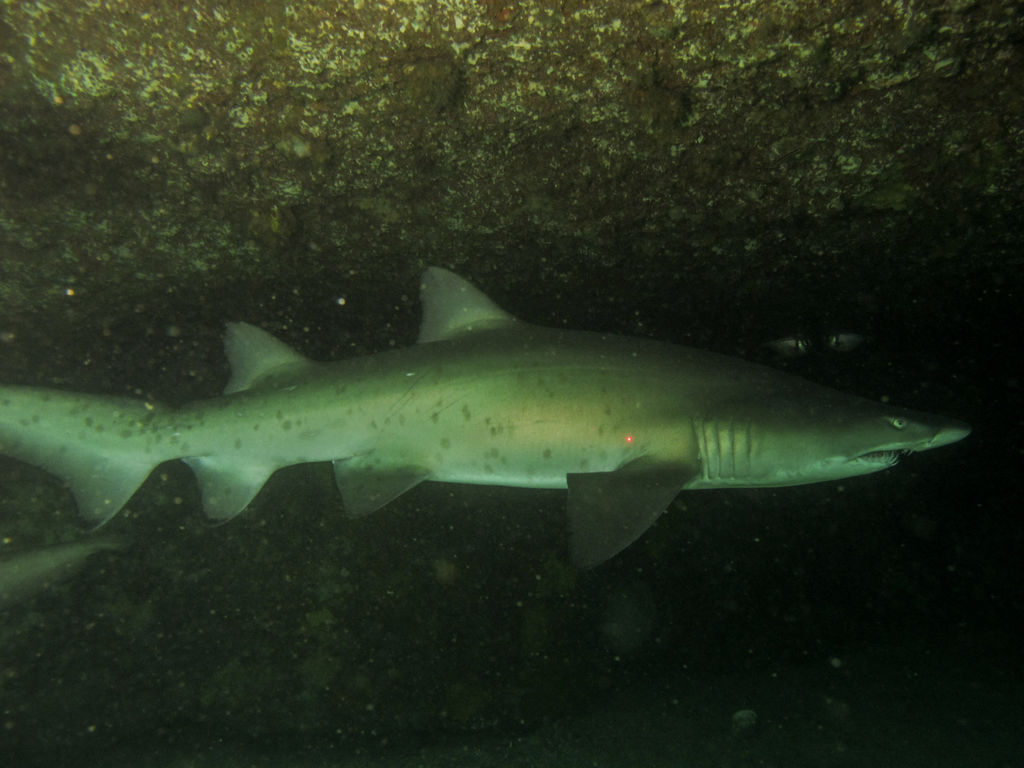 a1847107-913b-4b41-841d-55b439910202