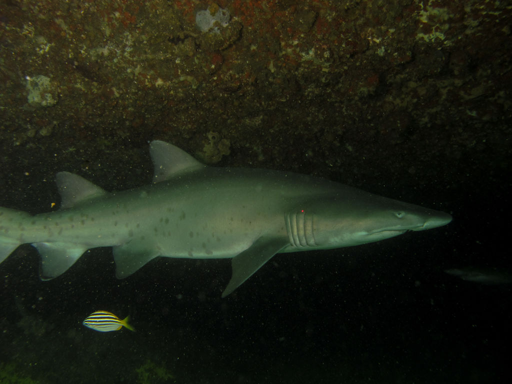 c3987c2b-a1d6-4735-9b1f-5d36d600eb6f