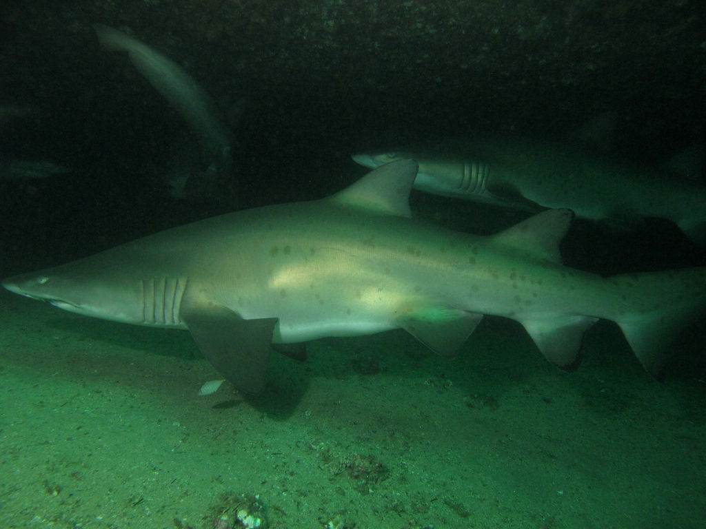 e5ae93f6-fb1a-4709-873c-376aa1edd592