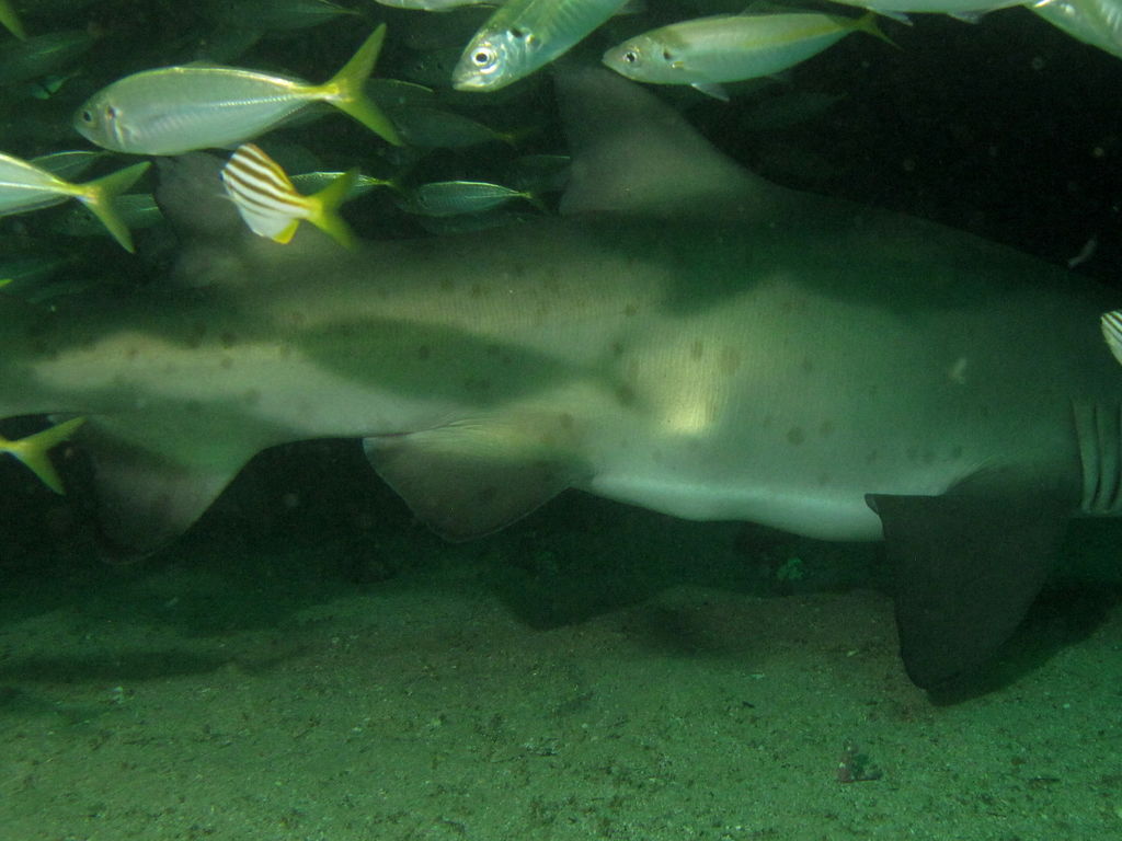 61eb053d-30cd-479e-9424-d000ef23dd8a