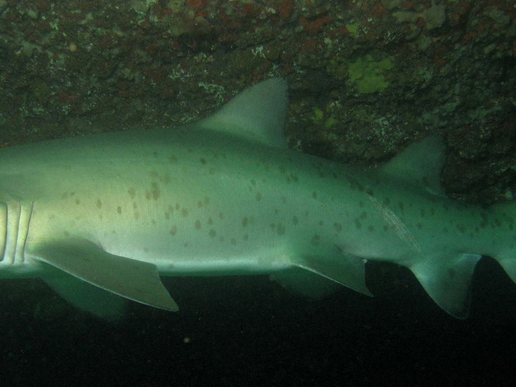 901d0529-cfaf-4583-bf29-03e7ad3fa1c0