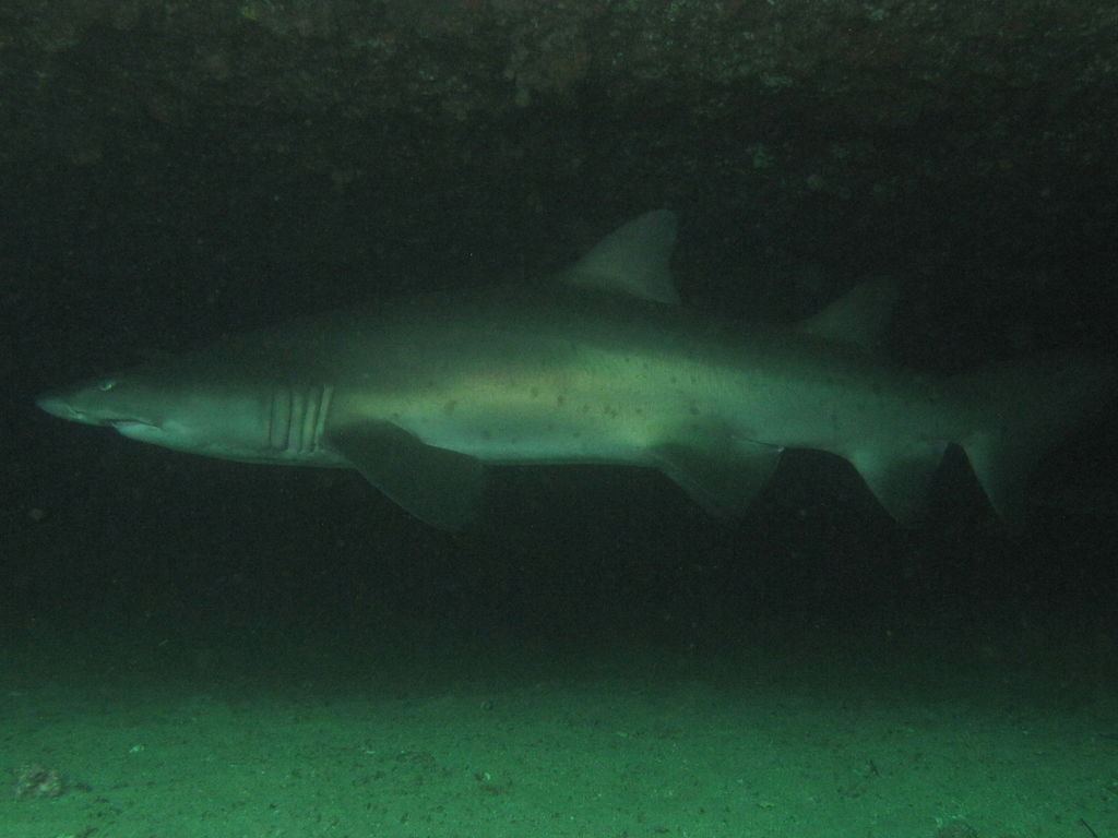 f1fc0a43-48c7-4118-9e28-92b380e39ae4