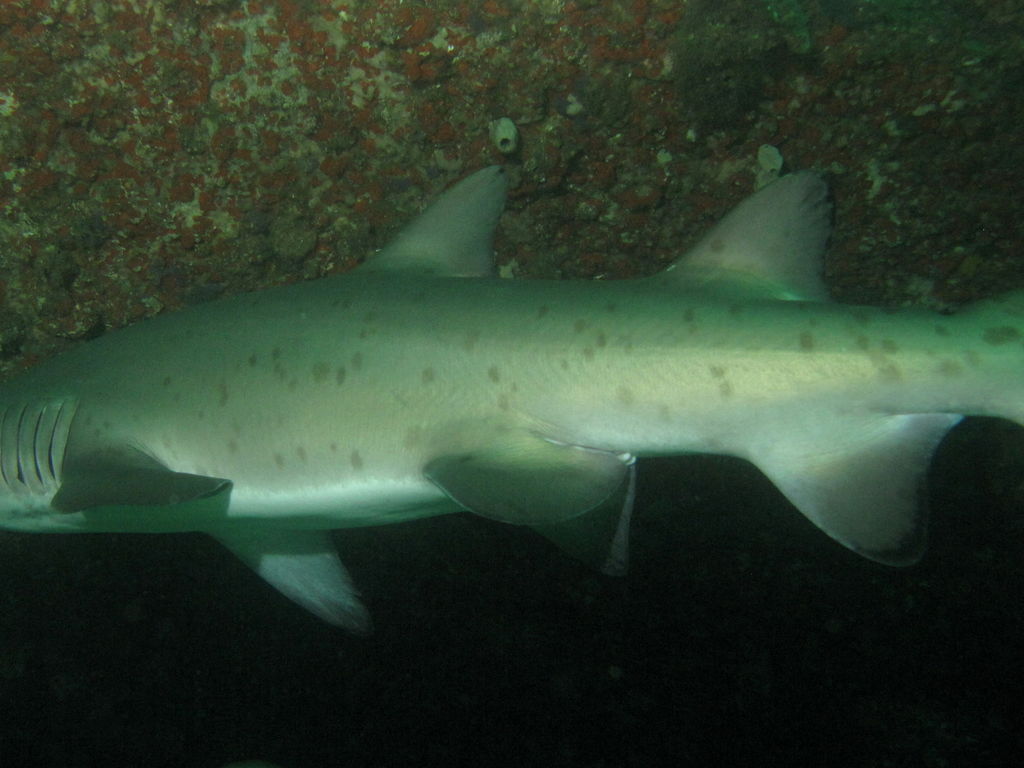 021dac45-4e76-4400-95e5-21c433263699