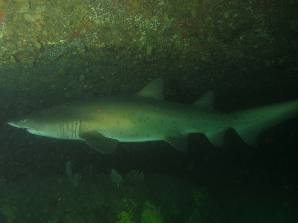 021dac45-4e76-4400-95e5-21c433263699