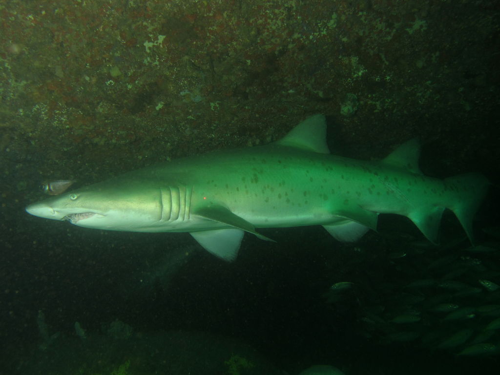 901d0529-cfaf-4583-bf29-03e7ad3fa1c0