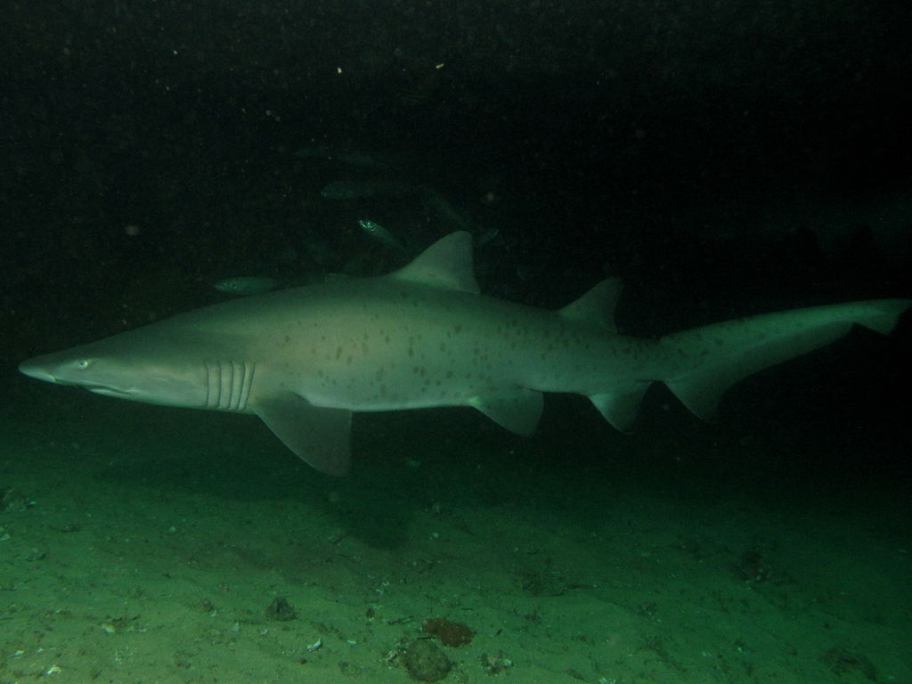 d67f5e40-e8f7-40b7-a9e7-7e97d00dab6d