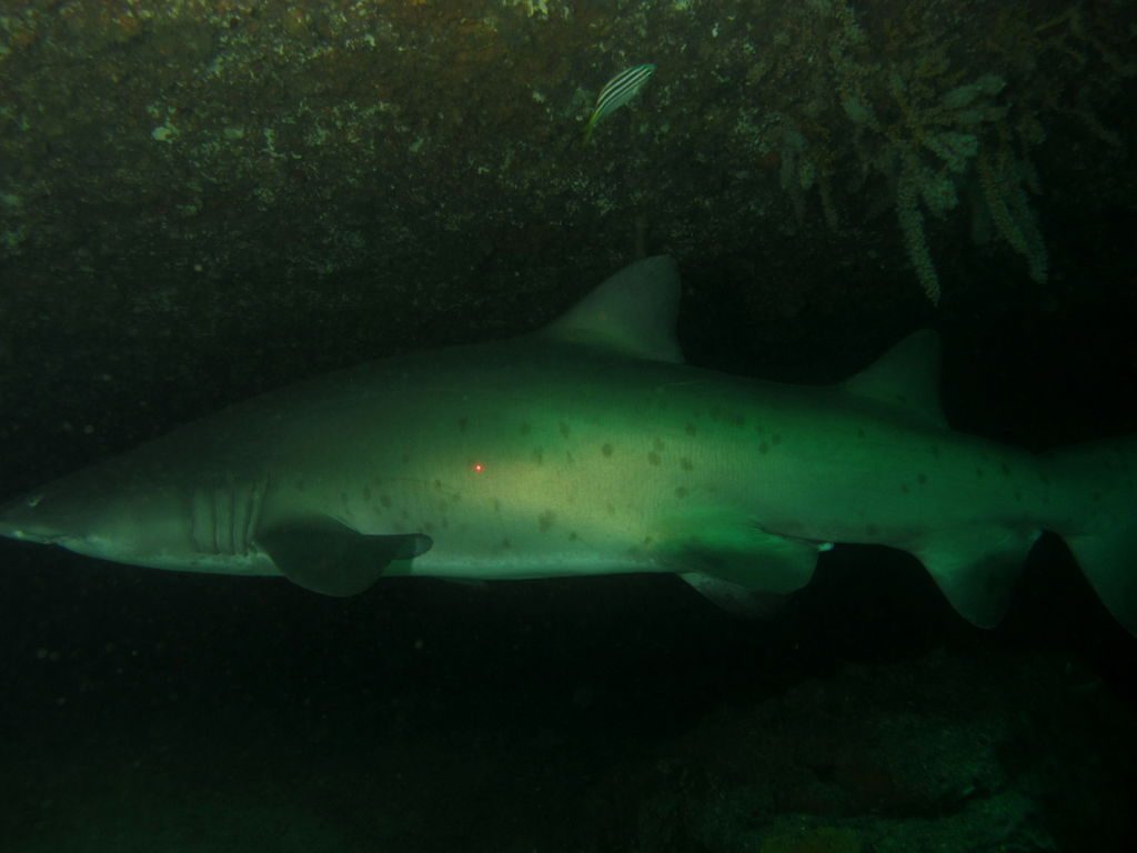 466658db-06a9-4429-aa3b-327b82aebdf8