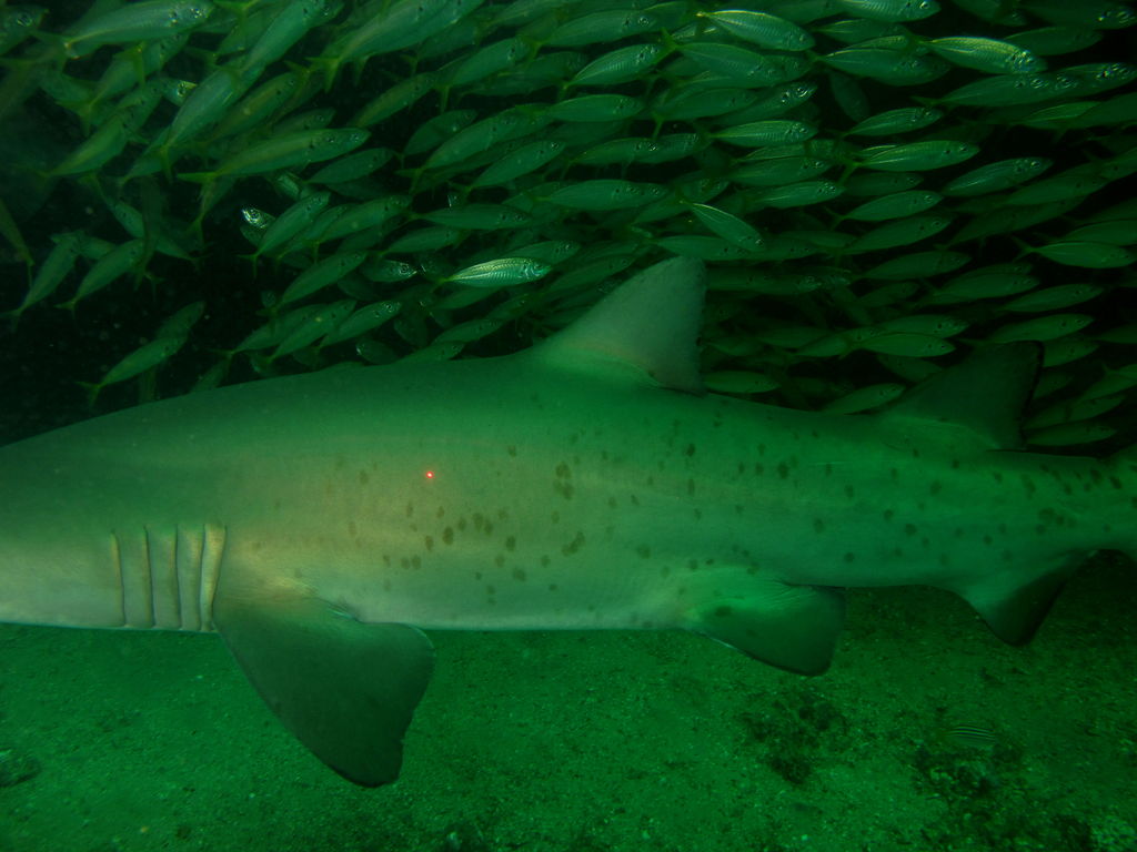 8fde32a6-b9fc-4f71-8e40-d839f6dbbafb