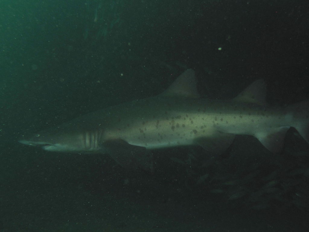 471ffc09-5d97-418e-93e8-0e72ee8a2866