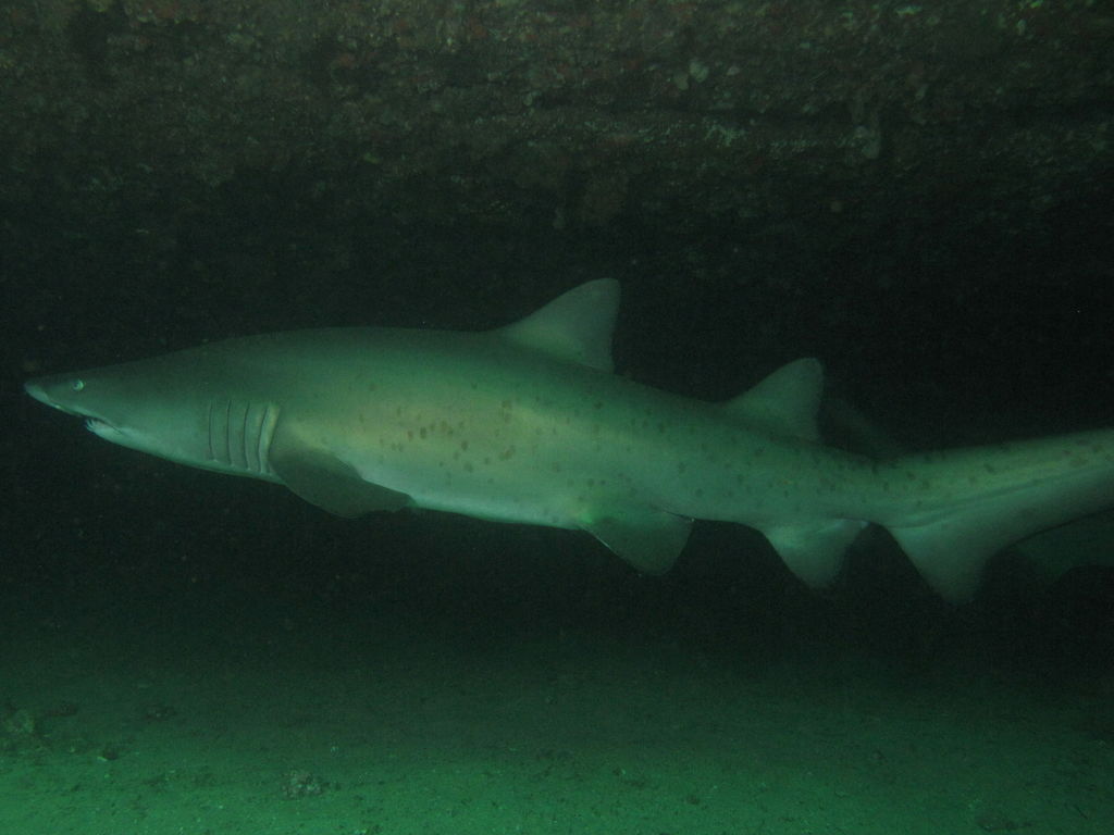 8fde32a6-b9fc-4f71-8e40-d839f6dbbafb