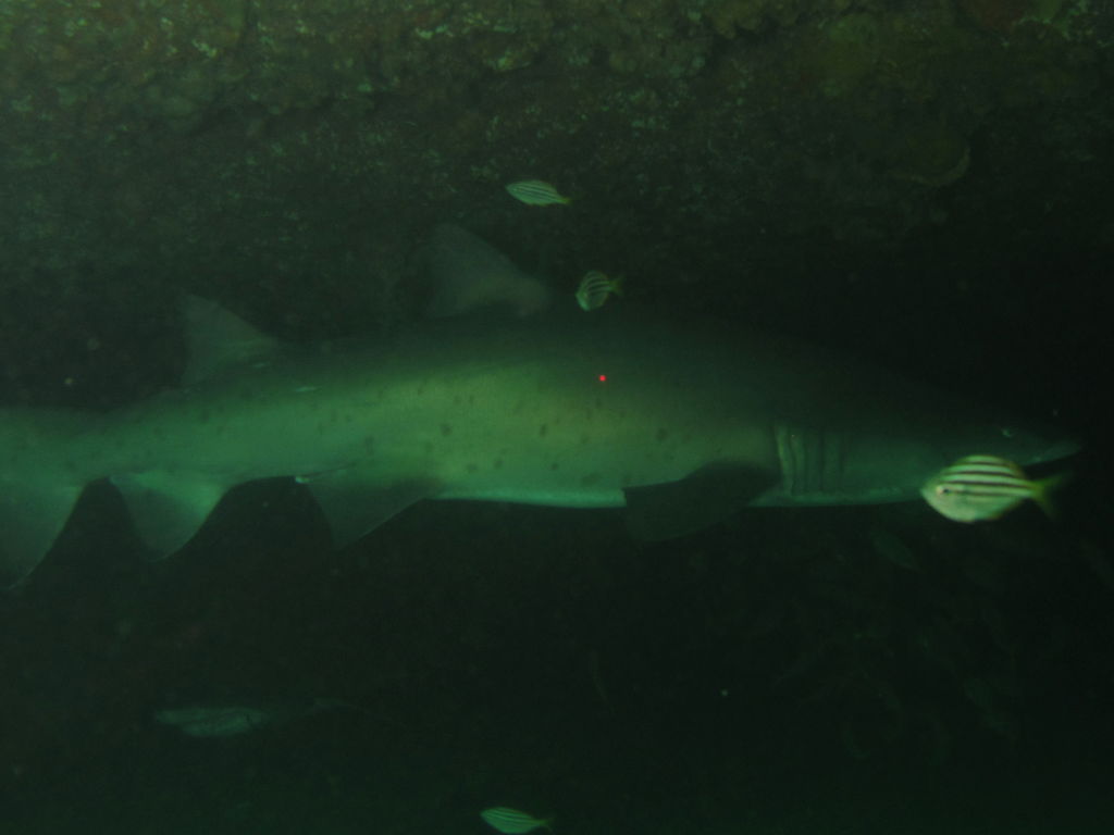 fa44ca25-3e22-49d1-9553-d5f69ad7f091