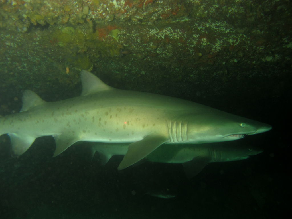 f1e16c80-17f4-4747-b88b-d9cc09d379ec