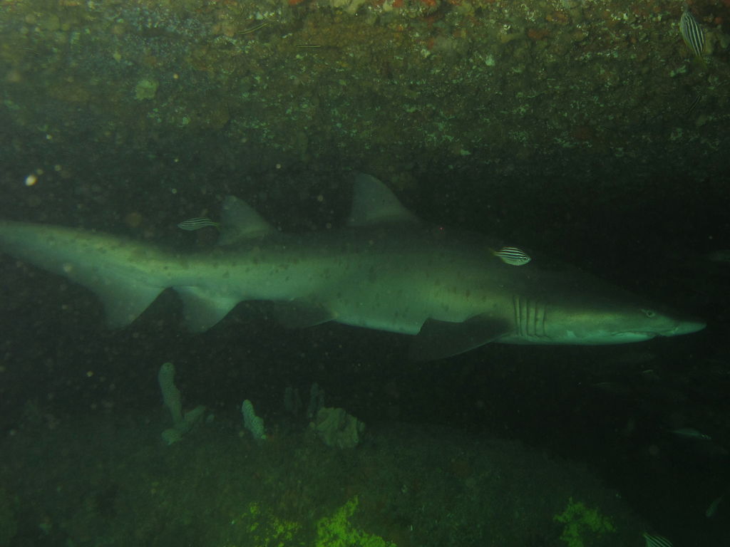 382f994f-a4ca-47ff-8436-51441d23d83f