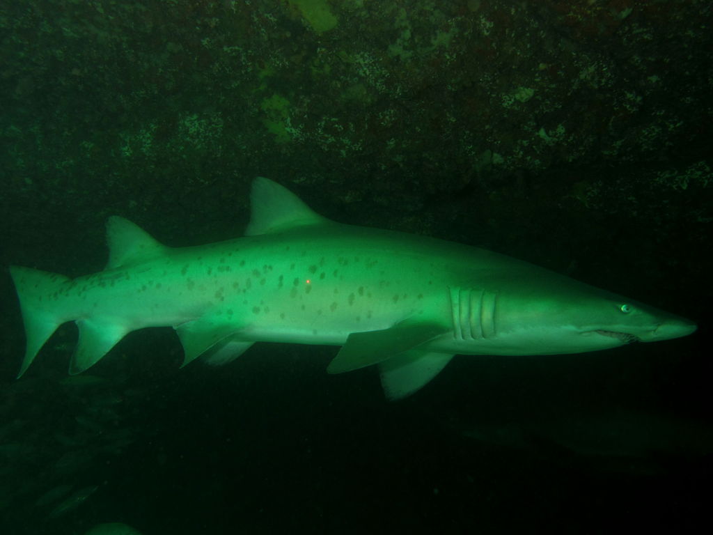 f1e16c80-17f4-4747-b88b-d9cc09d379ec