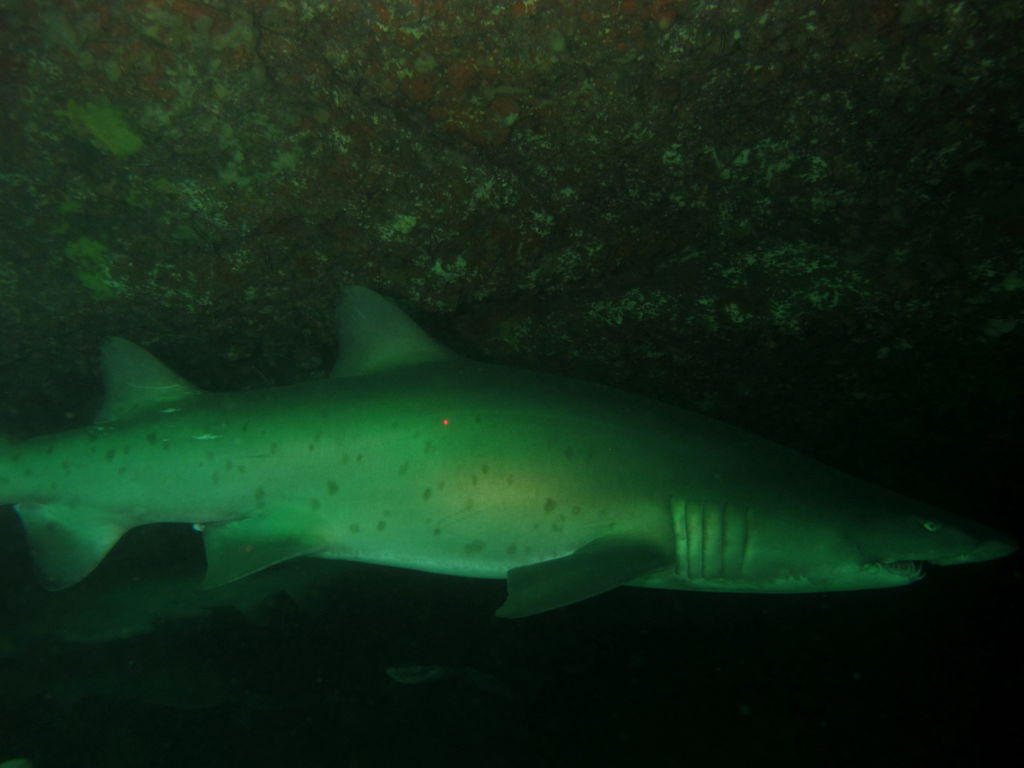 fa44ca25-3e22-49d1-9553-d5f69ad7f091