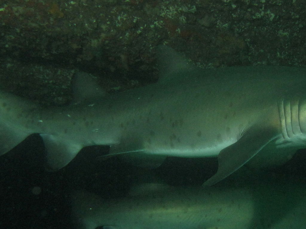 a1847107-913b-4b41-841d-55b439910202