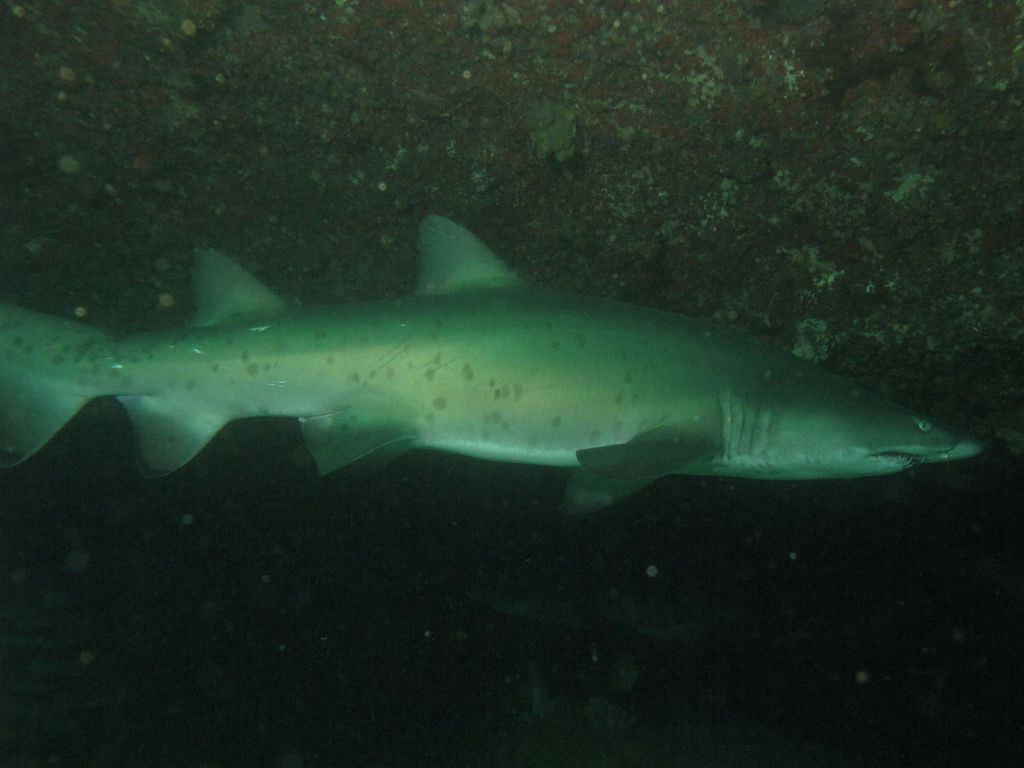 a1847107-913b-4b41-841d-55b439910202