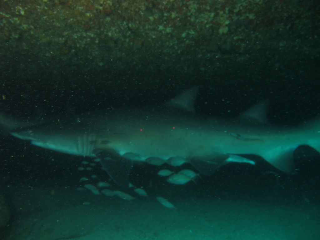 907b7e5b-48ac-40d6-baa3-99545f7a6921