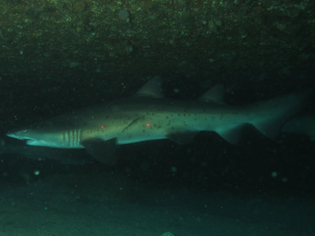 15012861-82fc-4f06-8947-8eaee72fab8e