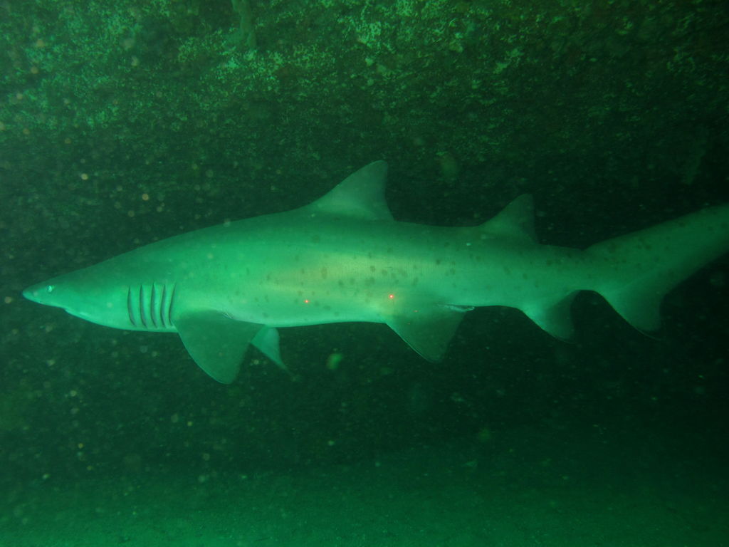 f22cd0c4-6c28-4c28-8f9e-3805d0519606