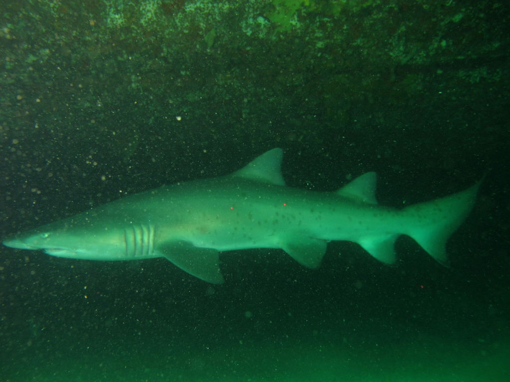 f22cd0c4-6c28-4c28-8f9e-3805d0519606