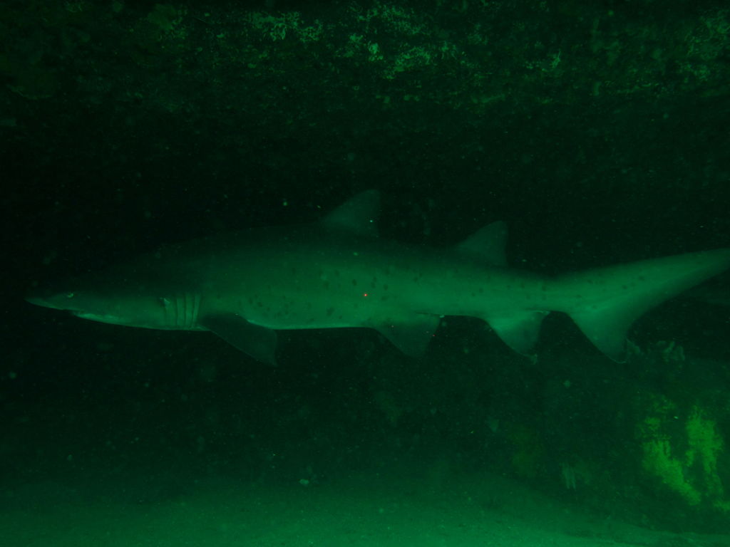 466658db-06a9-4429-aa3b-327b82aebdf8