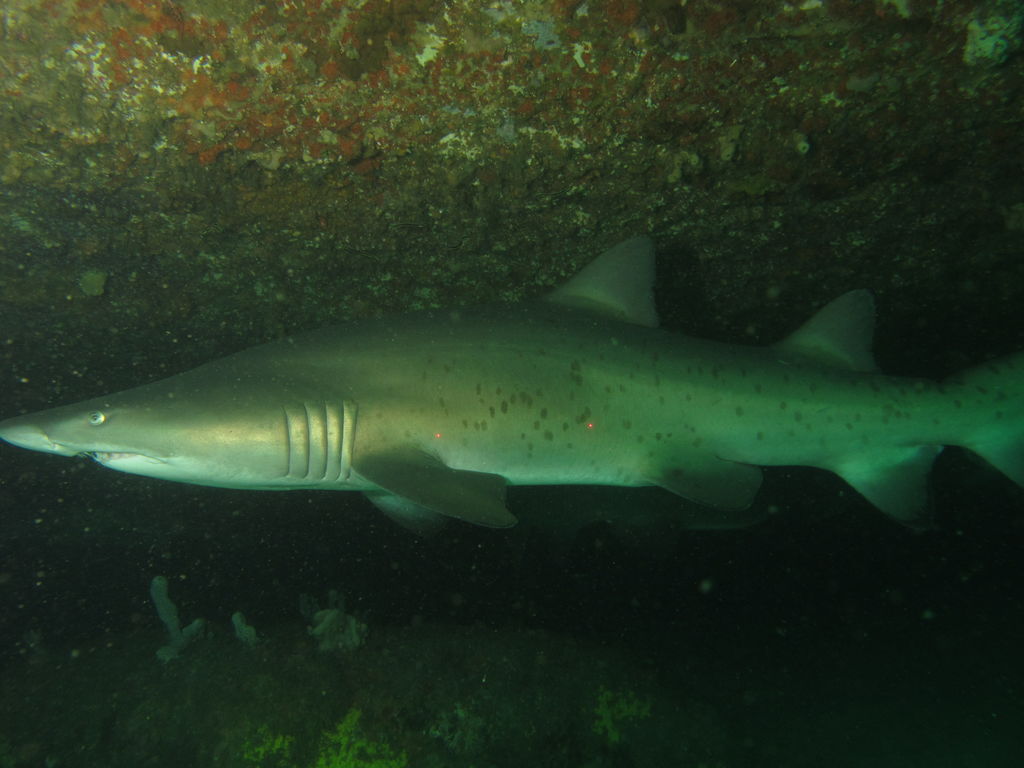 8fde32a6-b9fc-4f71-8e40-d839f6dbbafb