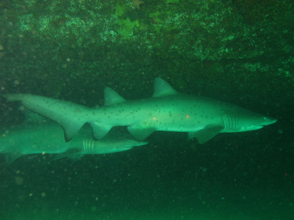 382f994f-a4ca-47ff-8436-51441d23d83f