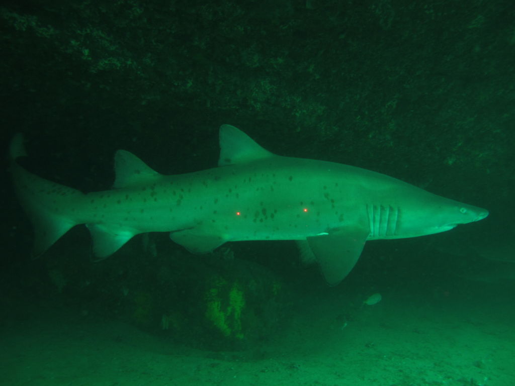 2aaacb1e-105e-44bd-95e7-6826a6c959e0