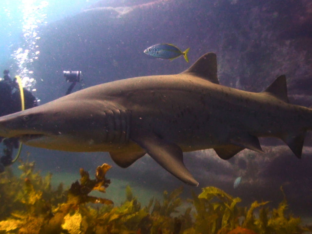 8fde32a6-b9fc-4f71-8e40-d839f6dbbafb