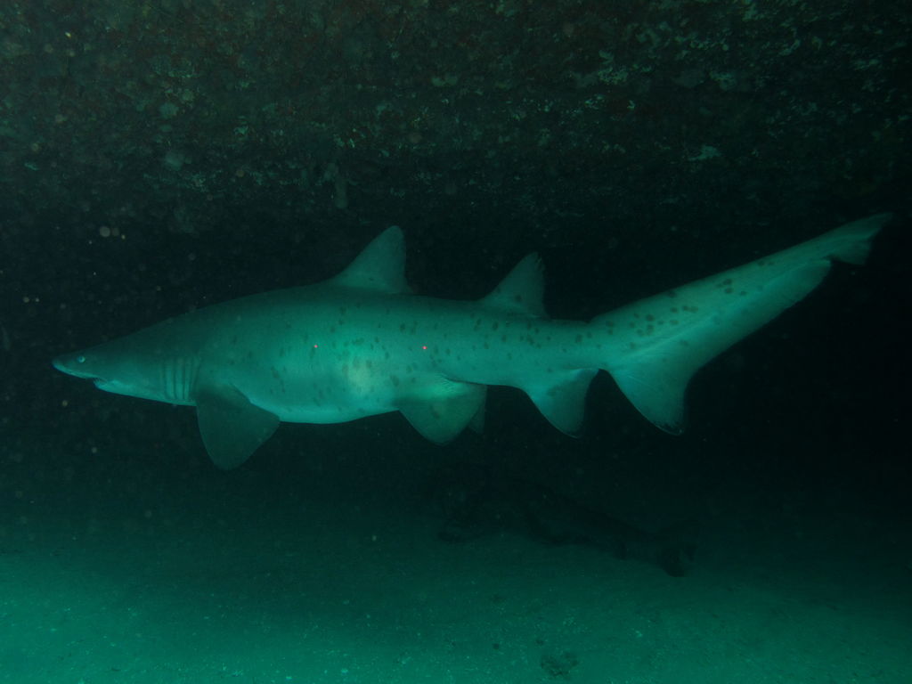 471ffc09-5d97-418e-93e8-0e72ee8a2866